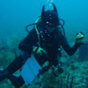 Meet your Posher, Lystina